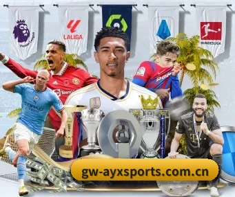 ayx官网入口 APP(AYXSPORTS)
